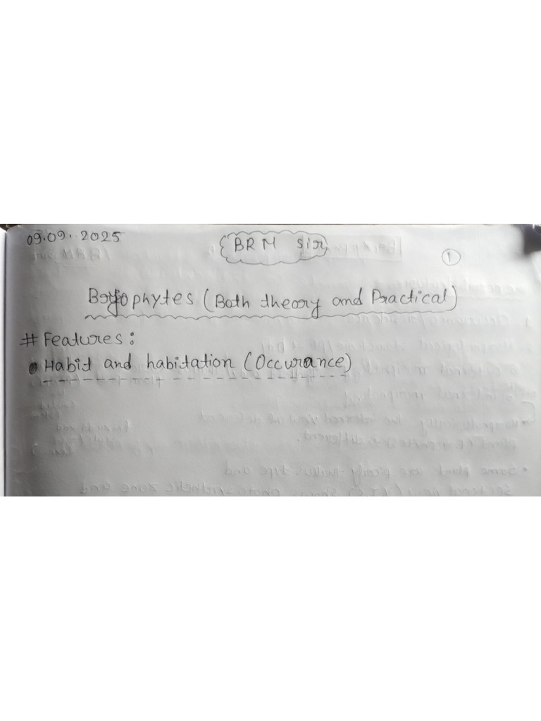 BRM Sir-1 Note | PDF