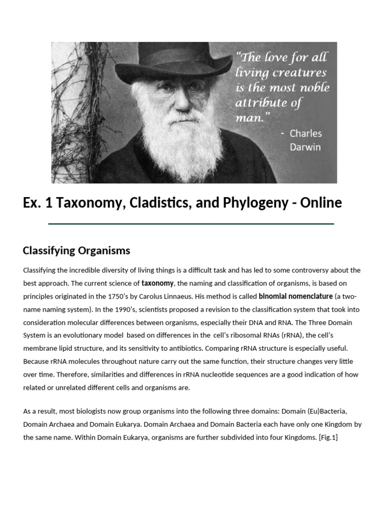 Ex. 1 Taxonomy Cladistics and Phylogeny Online | PDF | Cell (Biology ...