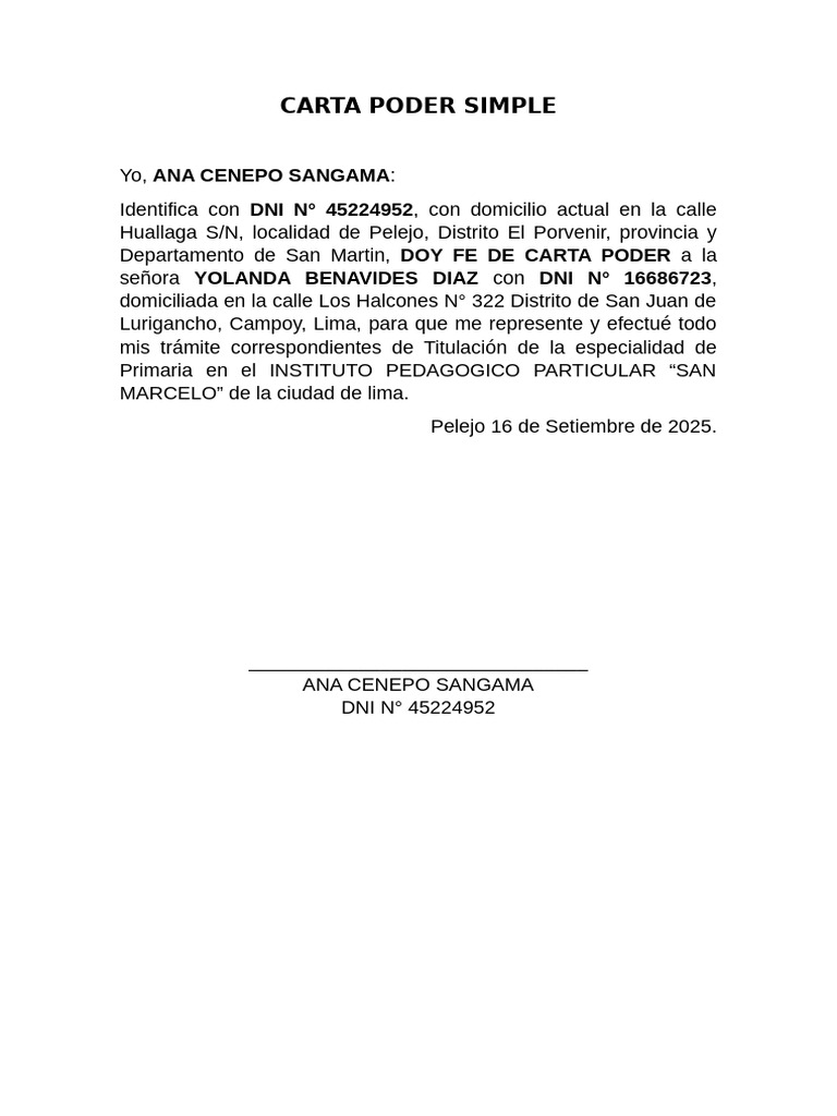 Carta Poder Simple Anita | PDF