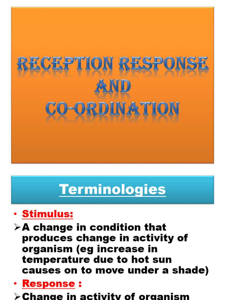 RECEPTION RESPONSE and COORDINATION COMPLETE | PDF | Ear | Synapse