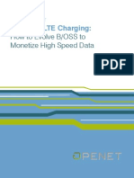 3G+ and LTE Charging:: How To Evolve B/OSS To Monetize High Speed Data
