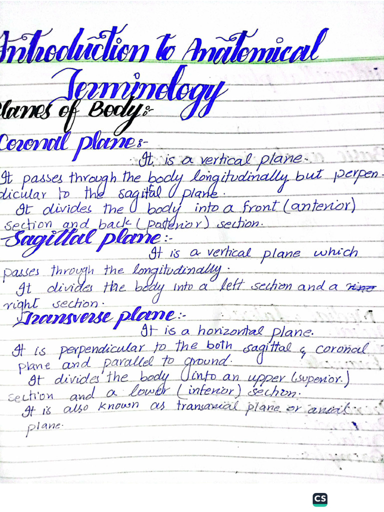 Anatomical Positions by Manahal Awan | PDF