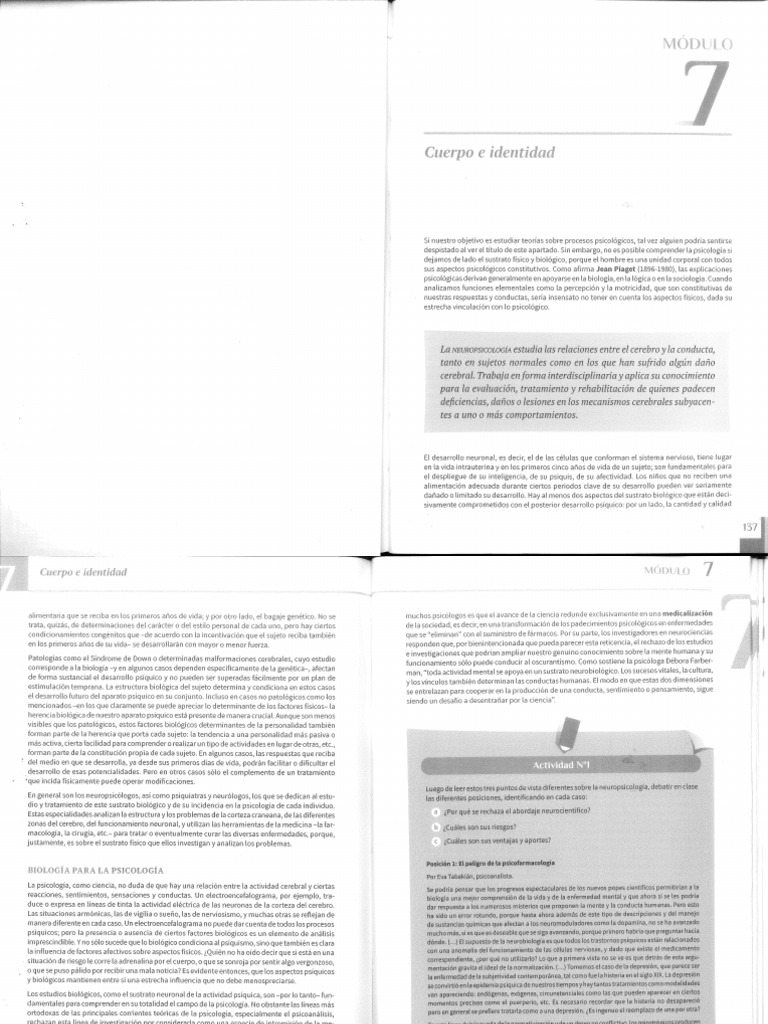 Módulo 7 y 8 | PDF