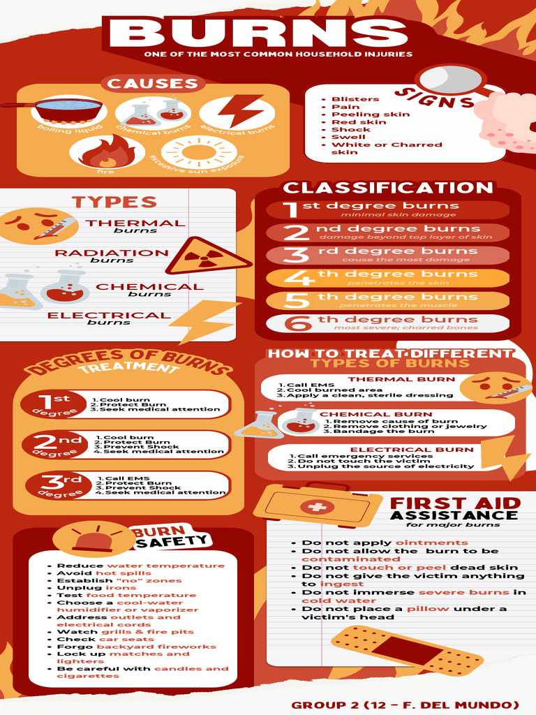 Burns Infographic | PDF | Burn