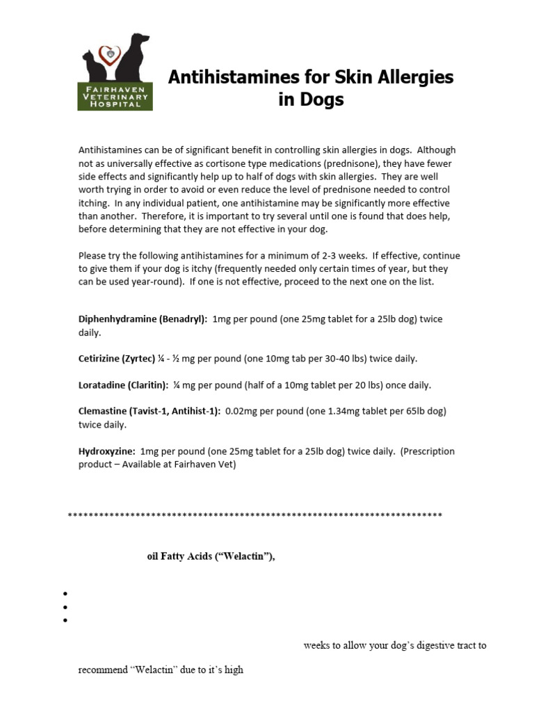 Antihistamine Use Canine preview