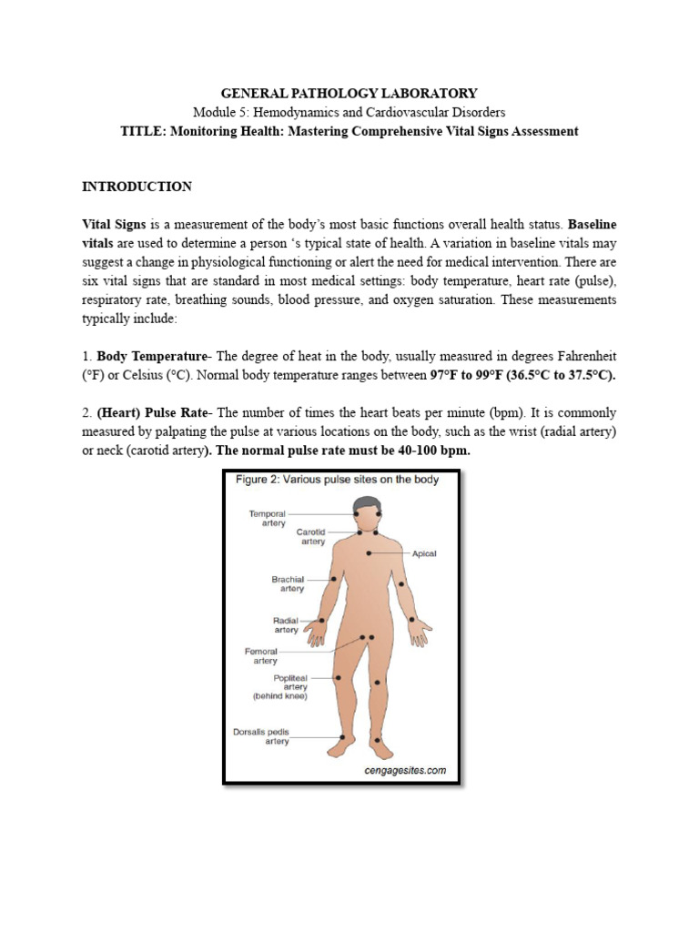 Vital Signs Activity Worksheet | PDF | Blood Pressure | Respiratory System