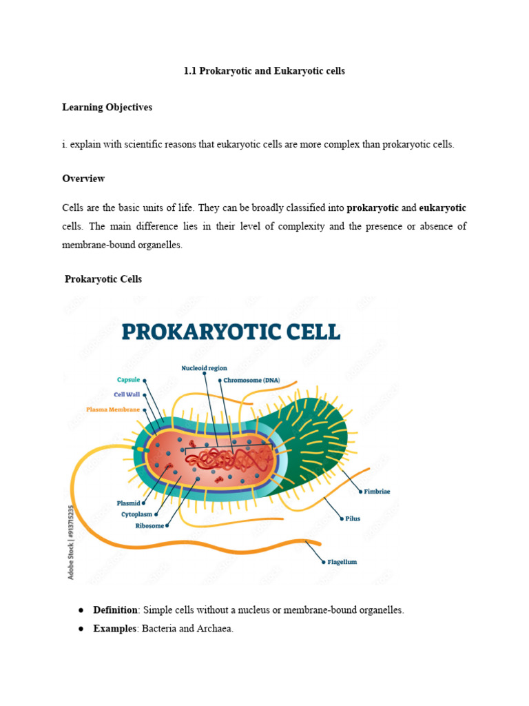 1.1 Prokaryotic and Eukaryotic Cells | PDF