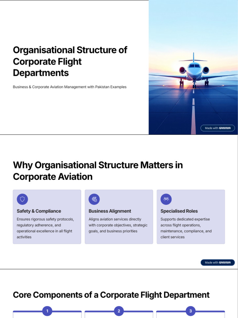 Organisational Structure of Corporate Flight Departments | PDF ...