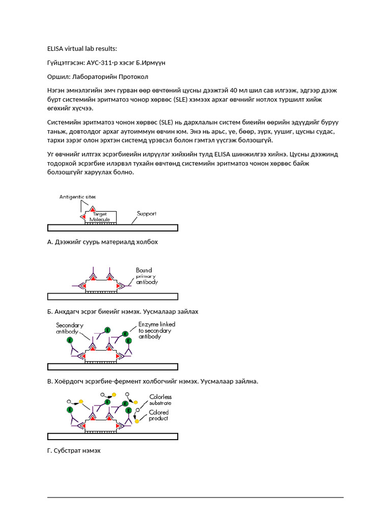 ELISA Virtual Lab Results | PDF