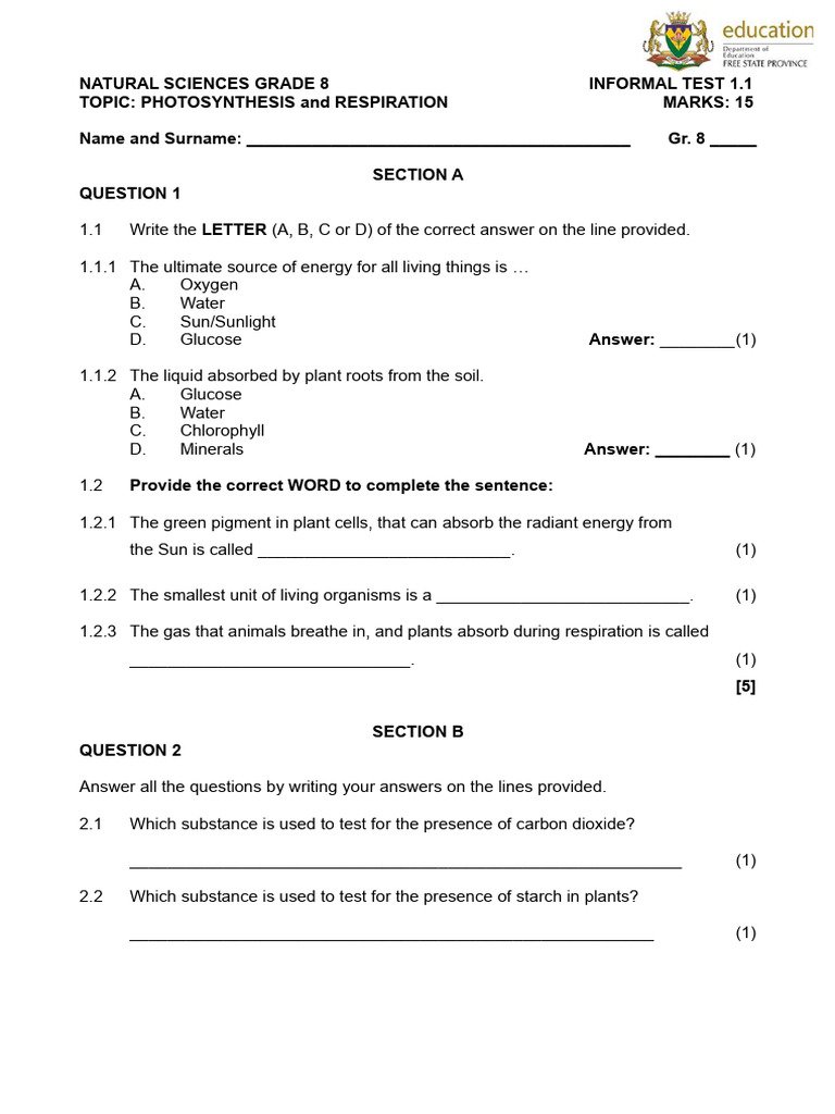 Ns 8 Informal Test 1 2024 Question Paper 1732439374 | PDF