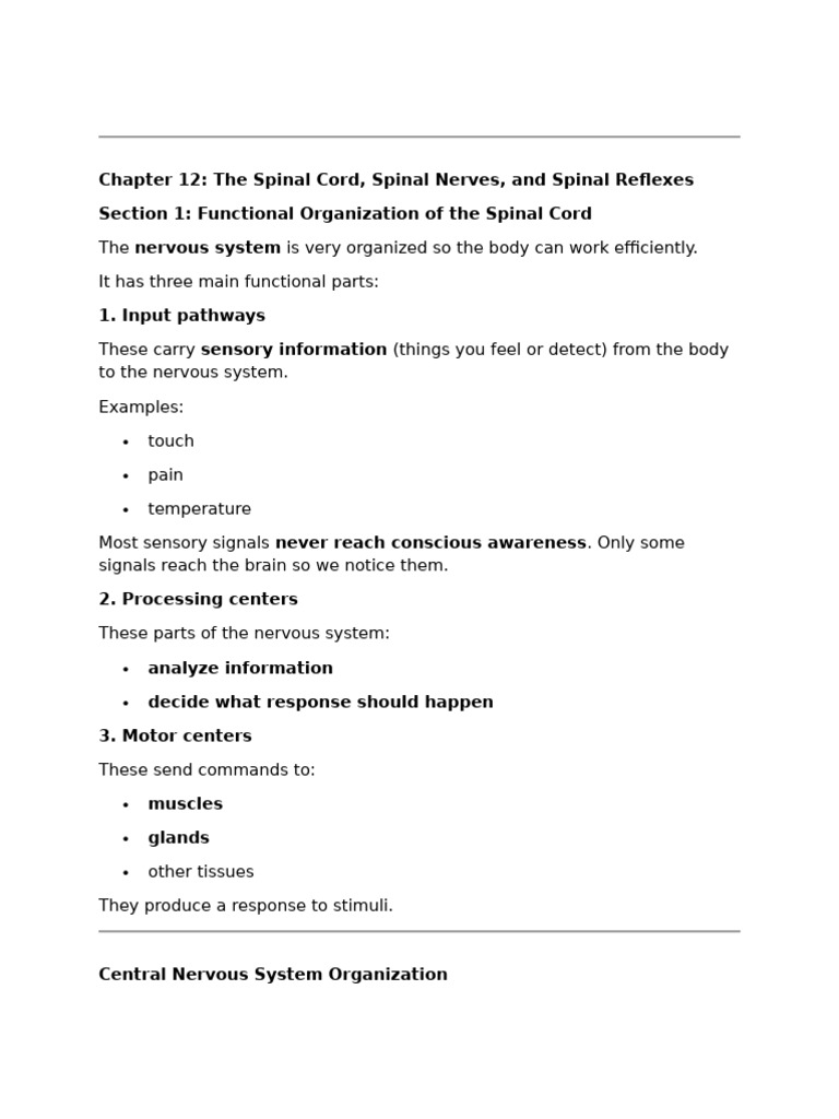Chapter 12 | PDF | Spinal Cord | Central Nervous System