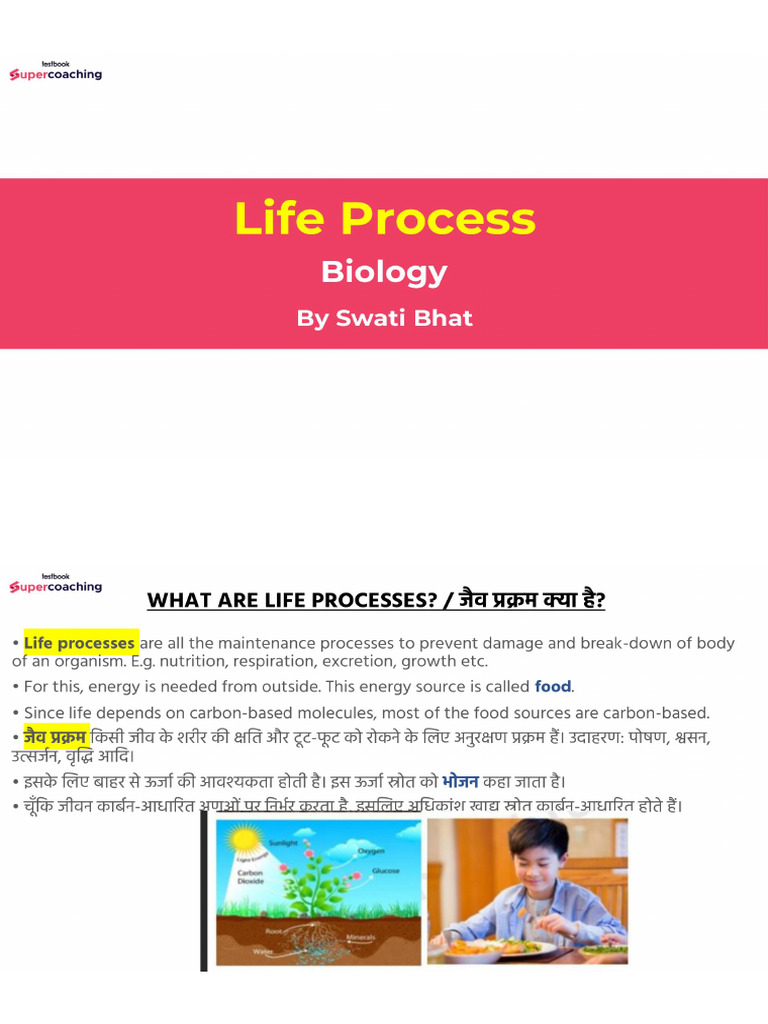 1 Lifeprocess | PDF
