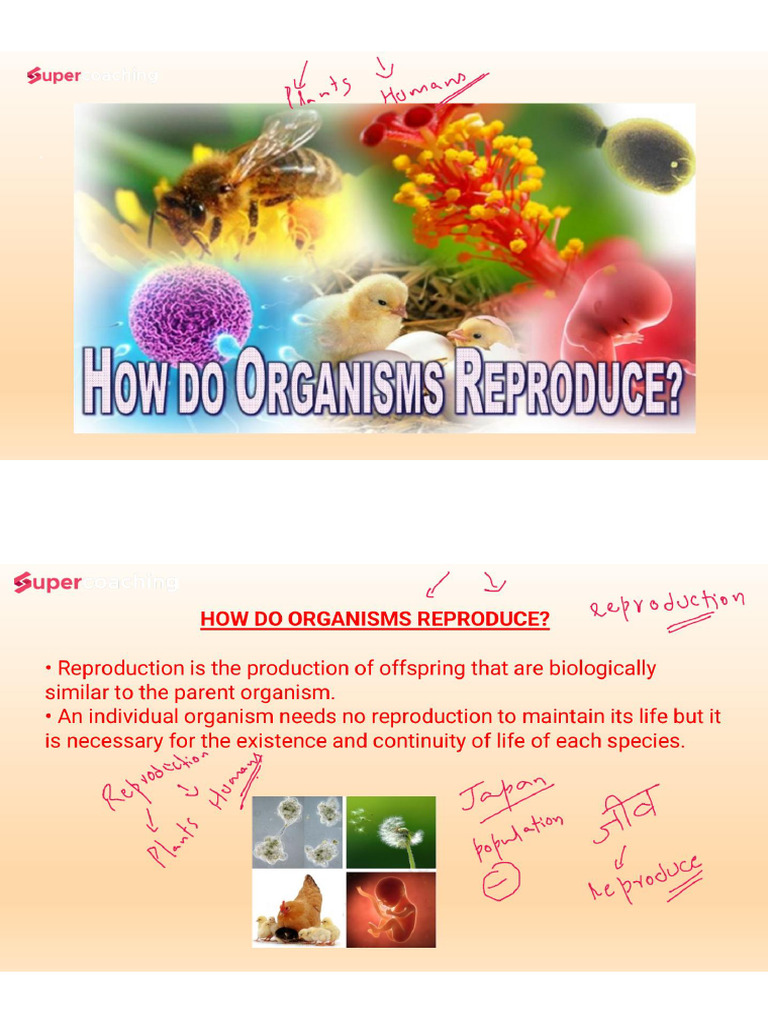 5 SexualreproductioninPlants | PDF