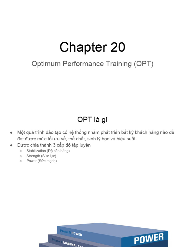 Chapter 15_ OPT Model | PDF