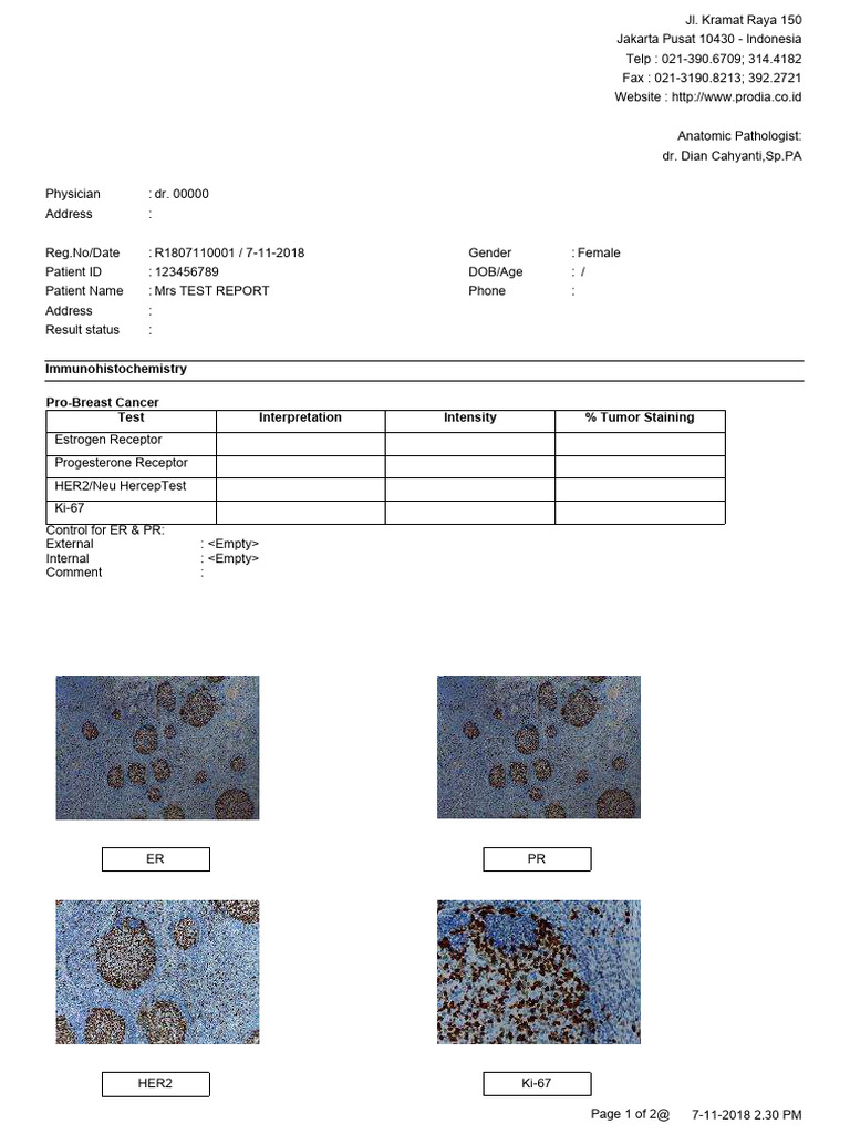 Er Pr Her2 Ki67 (Pbc3) Dummy | PDF | Immunohistochemistry | Medical ...