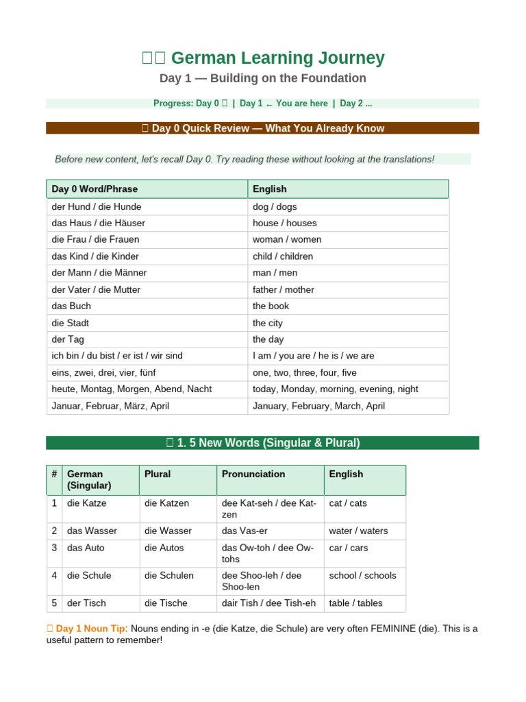German Day1 Lesson | PDF | Grammatical Gender | Syntax
