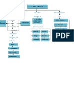 Mapa Conceptual Ciclo de Vida