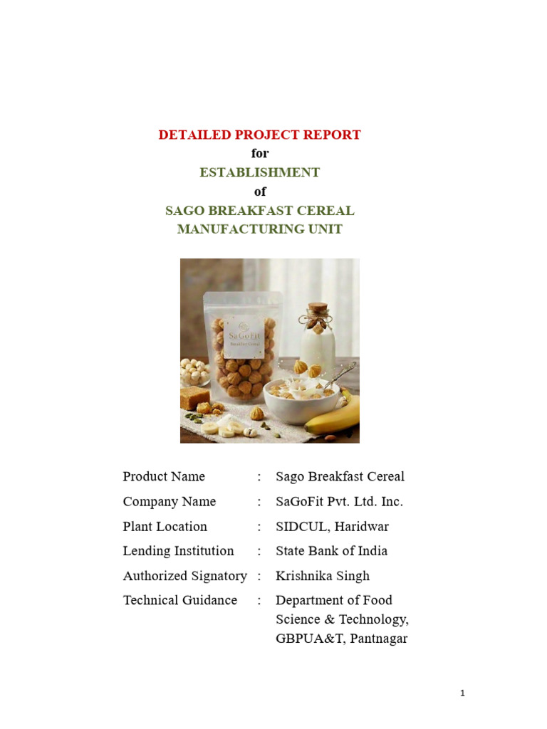 Detailed Project Report | PDF | Cereals | Chocolate