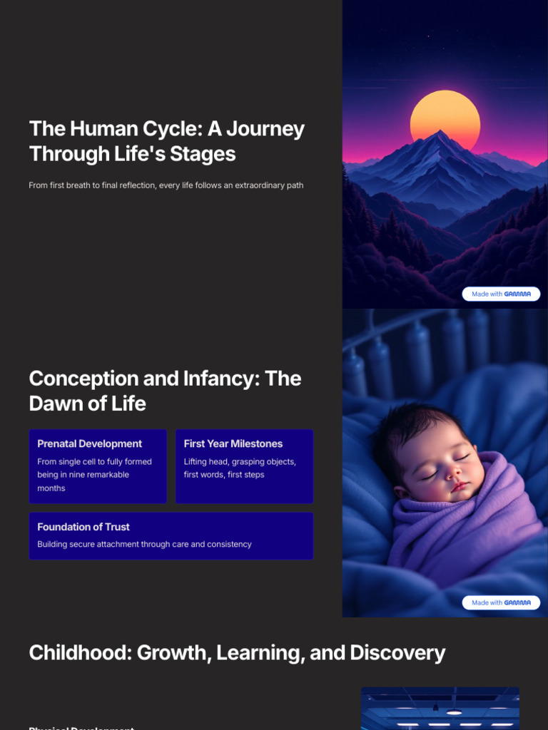 The Human Cycle A Journey Through Lifes Stages | PDF | Adolescence ...