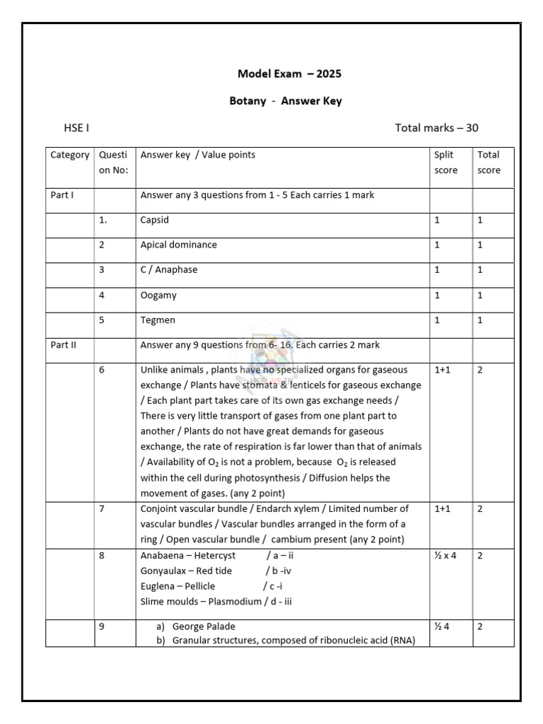 Hsslive Xi Botany Mbta Key Model Exam 2025 | PDF | Leaf | Plants