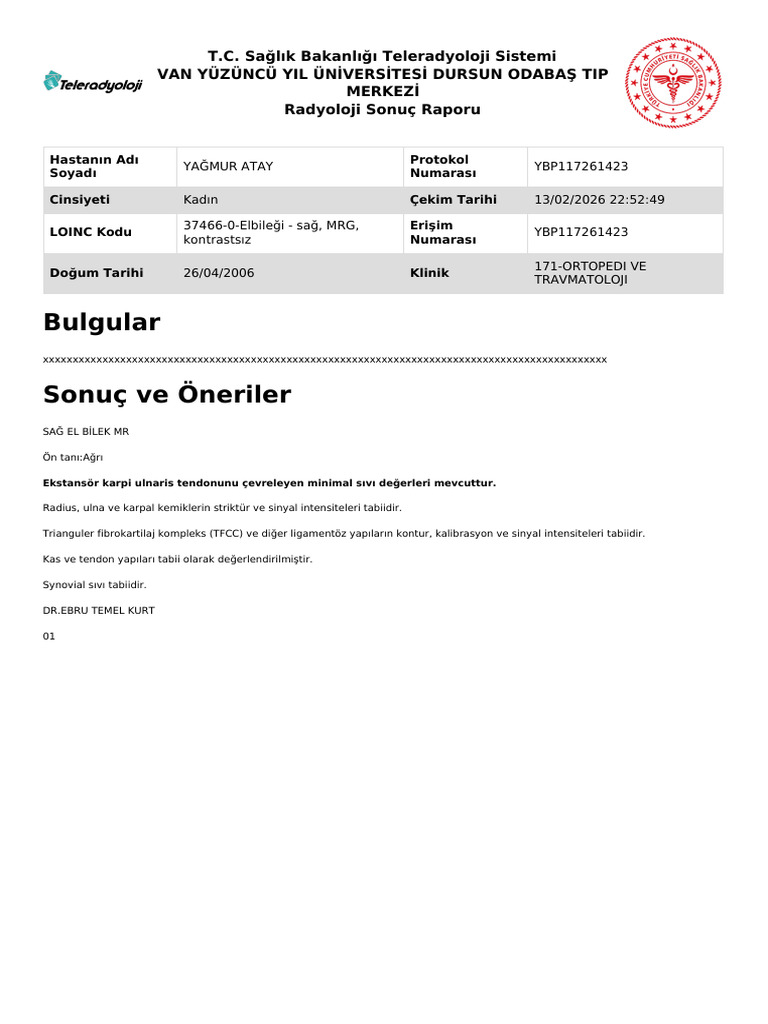 Rapor | PDF