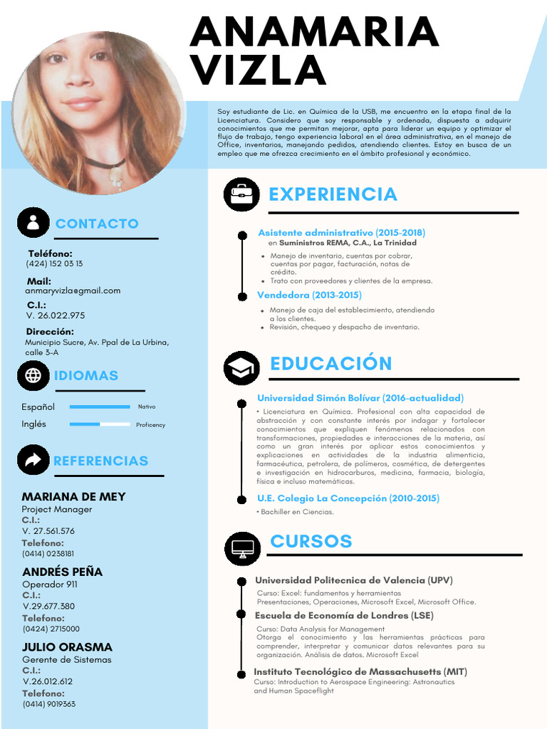 Anamaria Vizla. CV 2025 Act | PDF
