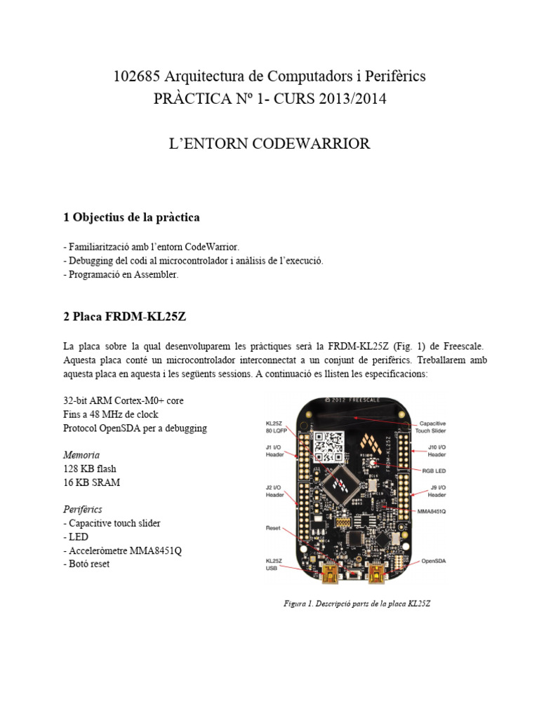 Practica ACiP 1 Entorn CodeWarrior | PDF