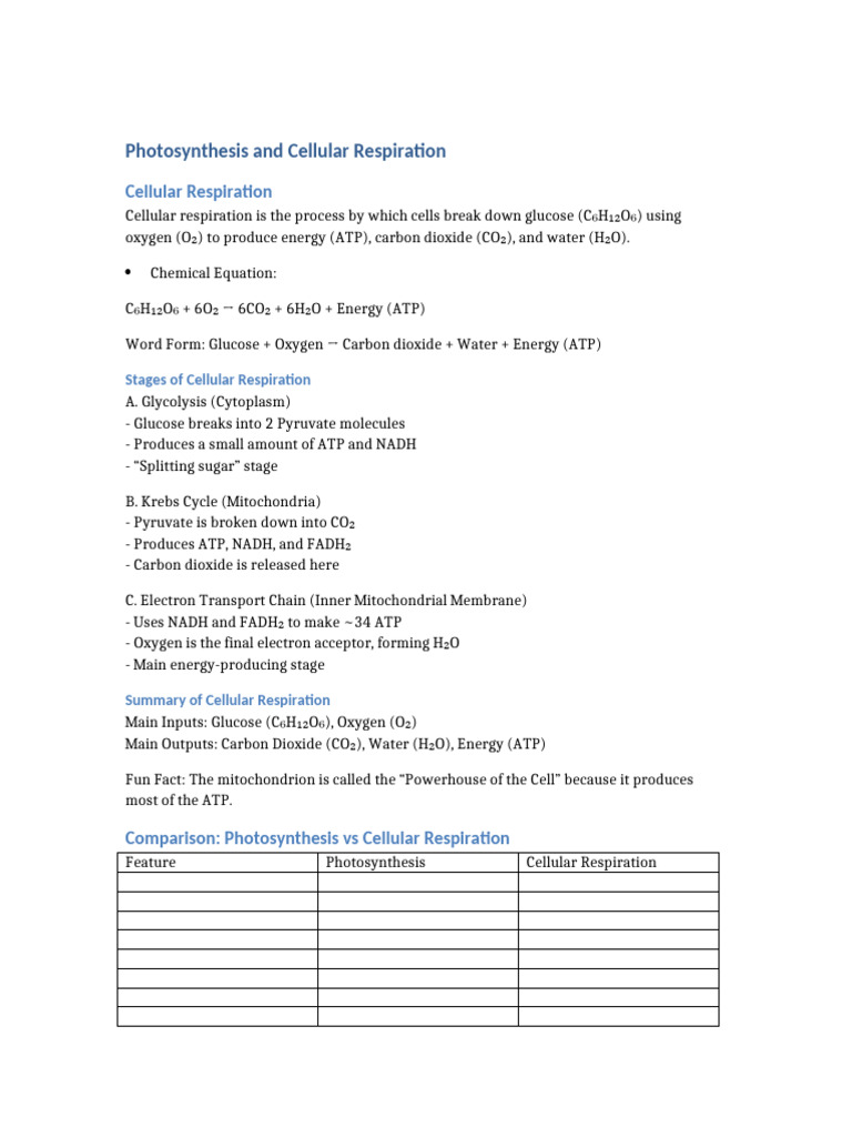 Photosynthesis and Cellular Respiration | PDF | Cellular Respiration ...