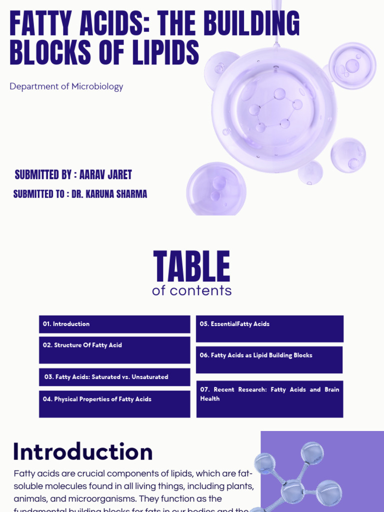Fatty Acids The Building Blocks of Lipids | PDF | Lipid | Fatty Acid