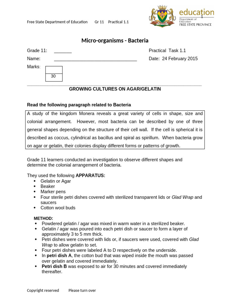 Grade 11 Practical Task 1 1 February 2015 | PDF | Agar | Bacteria