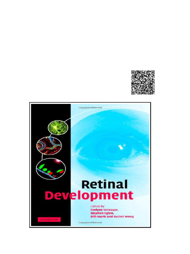 Retinal Development 1st Edition Evelyne Sernagor | PDF | Retina ...