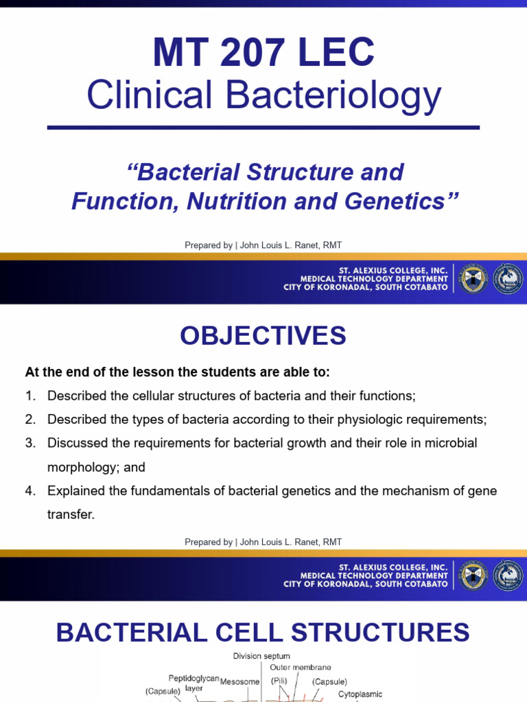 Bacterial Structure Function and Nutrition | PDF | Bacteria | Cell ...