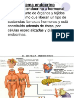 Sistema Endocrino