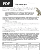 Labeled Rat Dissection Guide | PDF | Gastrointestinal Tract | Abdomen
