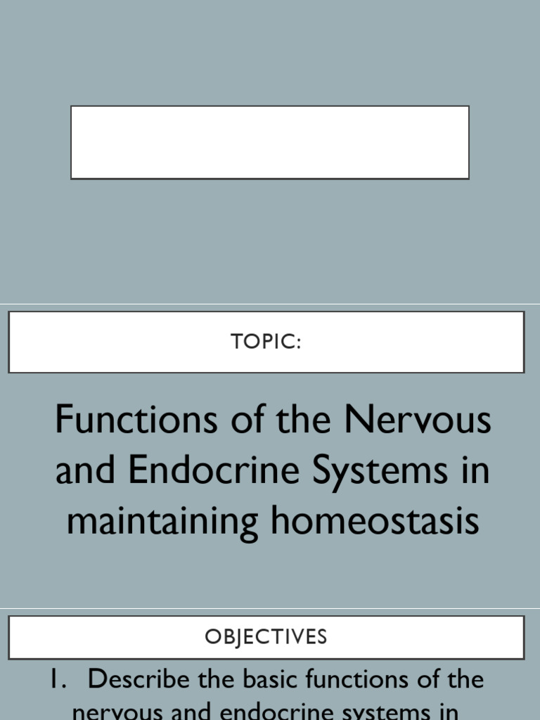 Nervous and Endocrine System | PDF | Hormone | Human Body
