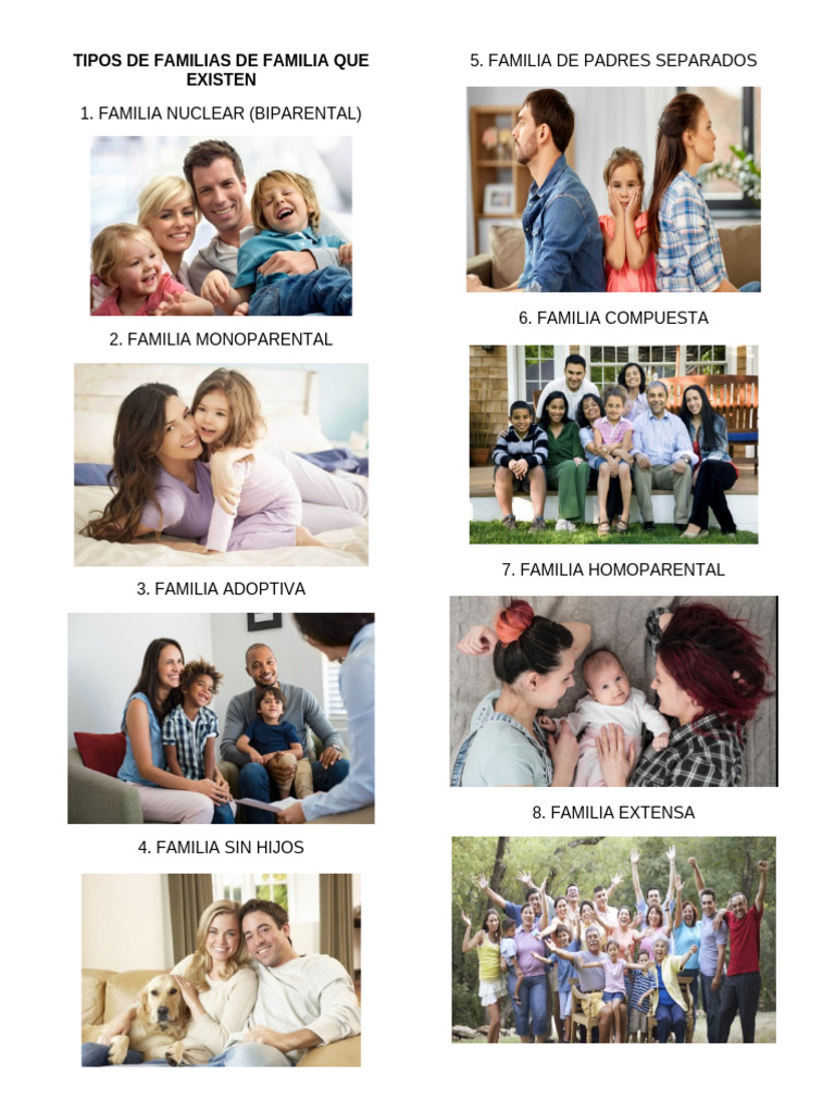 Tipos de Familias de Familia Que Existen | PDF