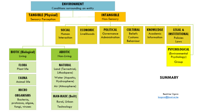 Environment Summary | PDF