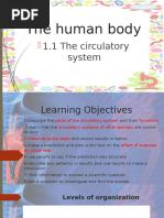Overview of the Circulatory System | PDF | Blood Vessel | Heart