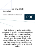 How Does The Cell Divide