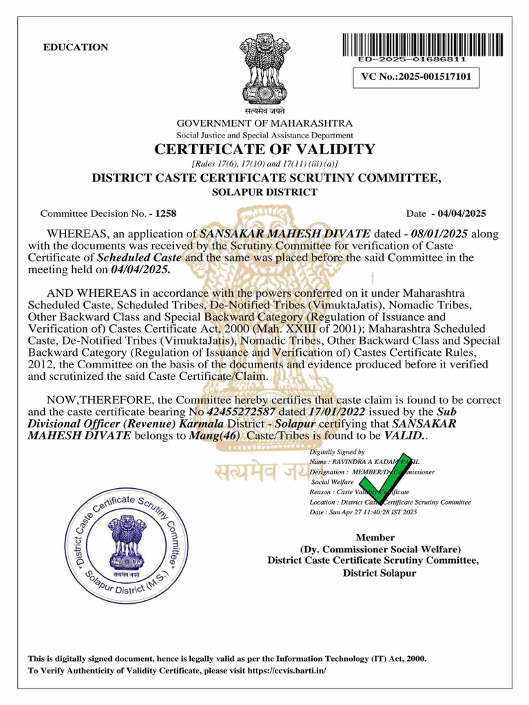 Cast Validity | PDF