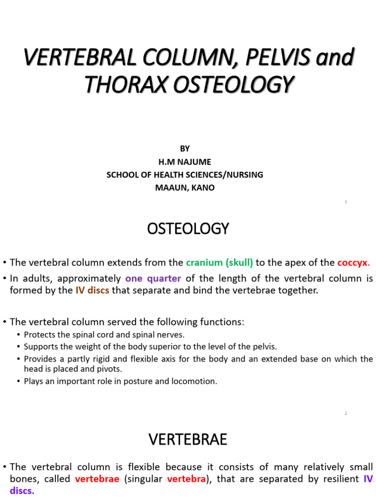 Vertebral Column, Pelvis and Thorax Osteology | PDF | Vertebra | Pelvis