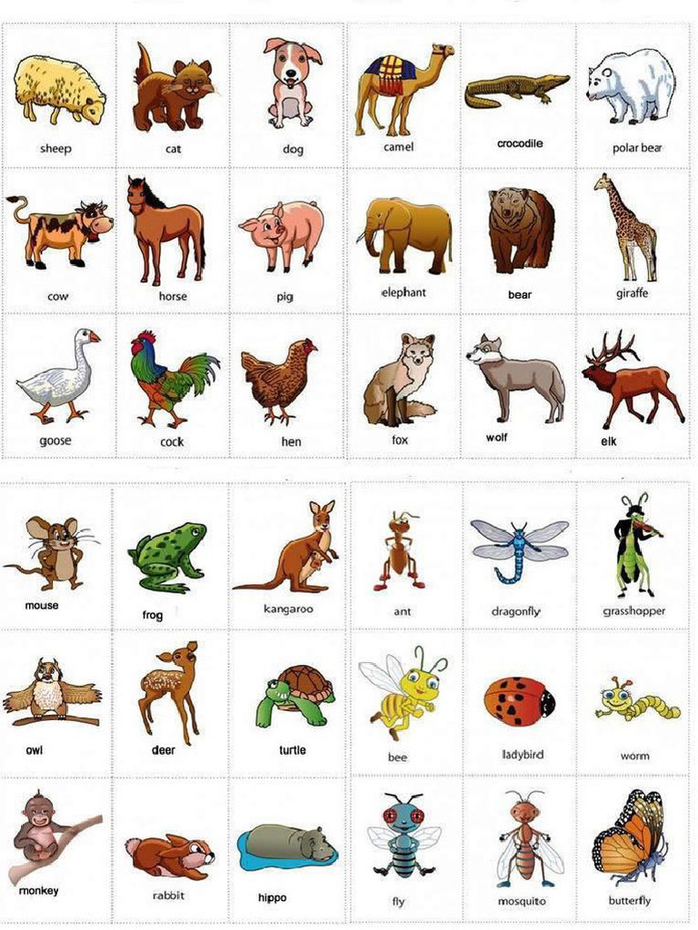 Animals | PDF