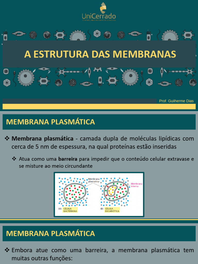 Aula 04 - A Estrutura Das Membranas | PDF | Membrana celular | Fosfolipídeo
