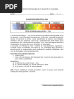 Escala Visual Analógica de Dor EVA | PDF