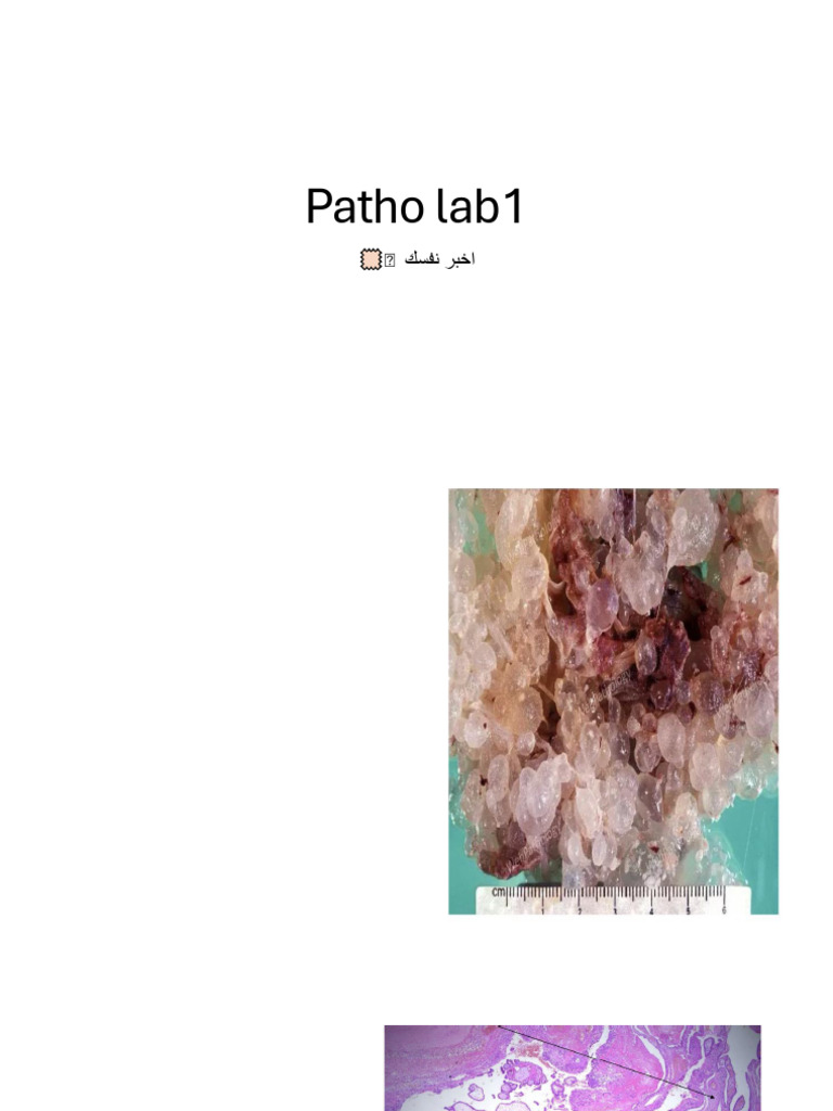 Patho Lab1 | PDF