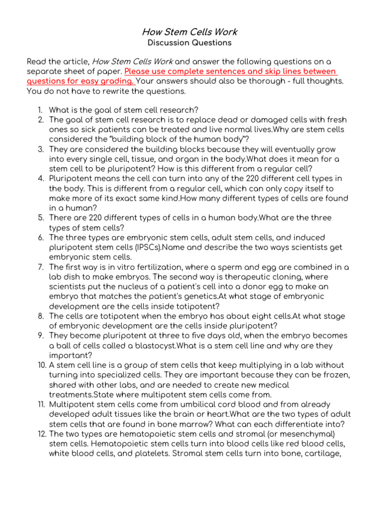 How Stem Cells Work Reading Questions | PDF | Stem Cell | Cell Potency
