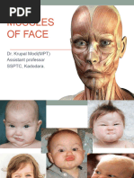 Lateral View of Facial Muscles | PDF | Soft Tissue | Human Anatomy