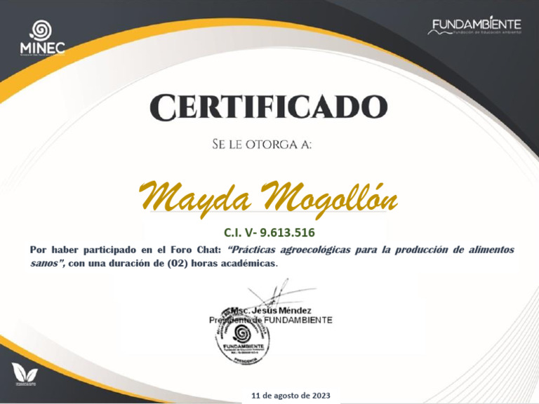 Mayda Mogollón | PDF