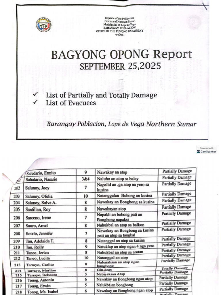 Barangay Report | PDF