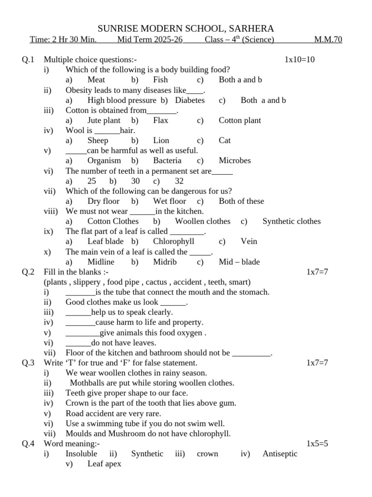 Science 4th | PDF | Leaf